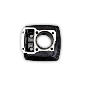 INFINITY - CYLINDER BLOCK ASSY