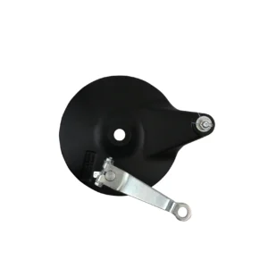 INFINITY - REAR BRAKE PANEL ASSY